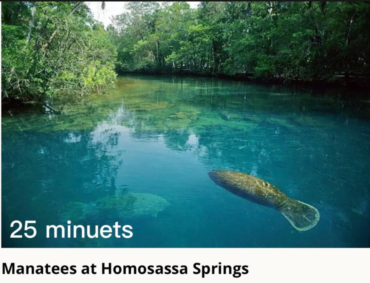 Bonne Nuit Weeki Wachee Villa Buitenkant foto